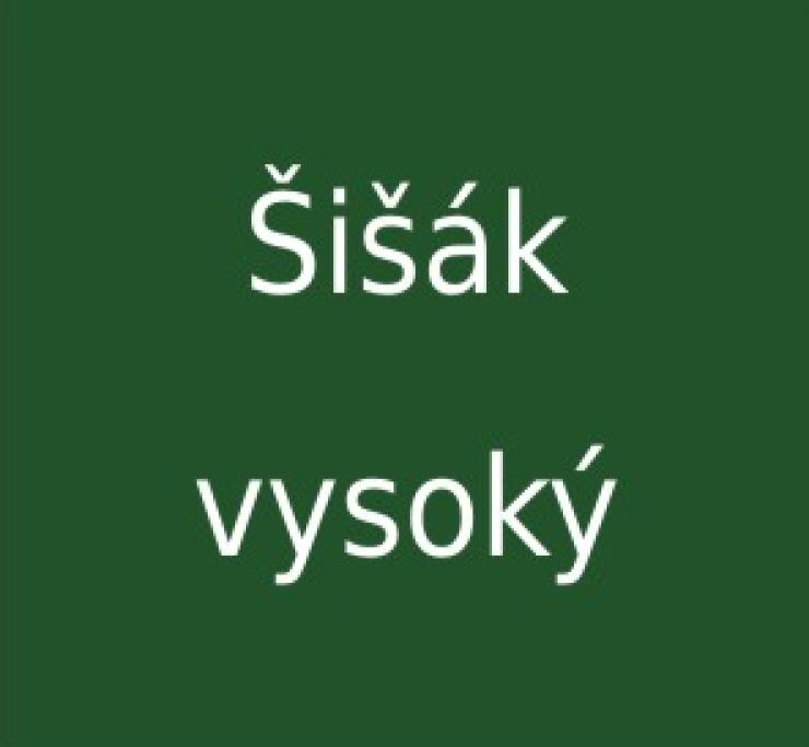 zobrazit detail snímku: Šišák vysoký