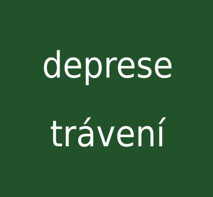 zobrazit detail snímku: Deprese, trávení