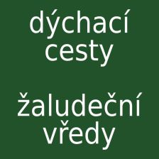 Dýchací cesty, žaludeční vředy