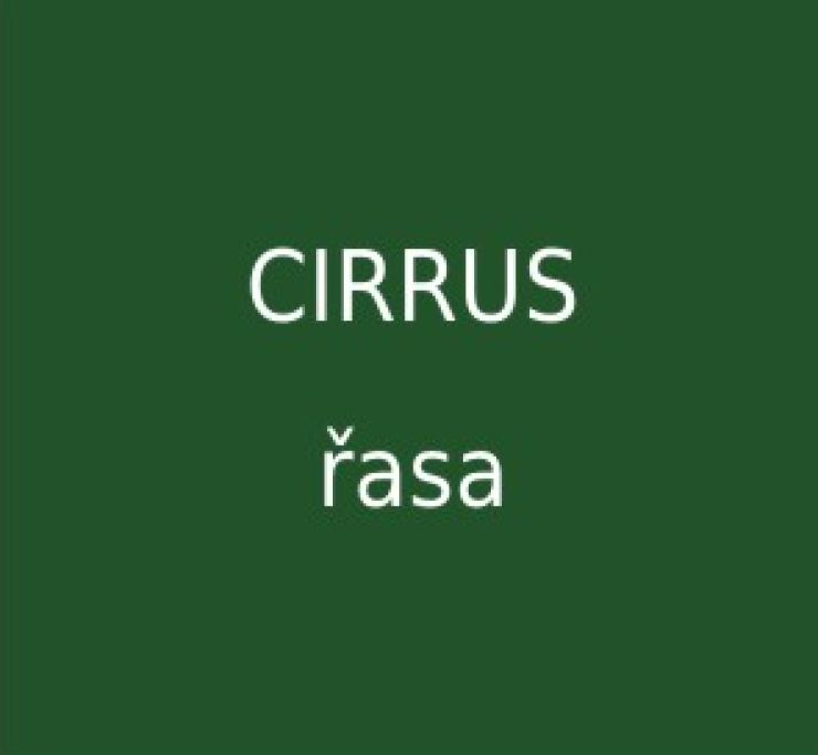 zobrazit detail snímku: Cirrus