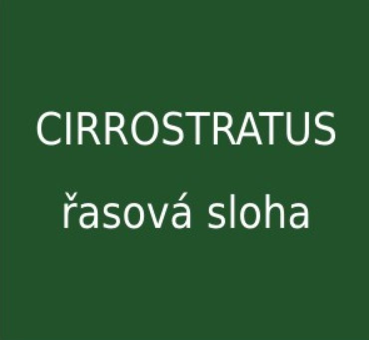 zobrazit detail snímku: Cirrostratus