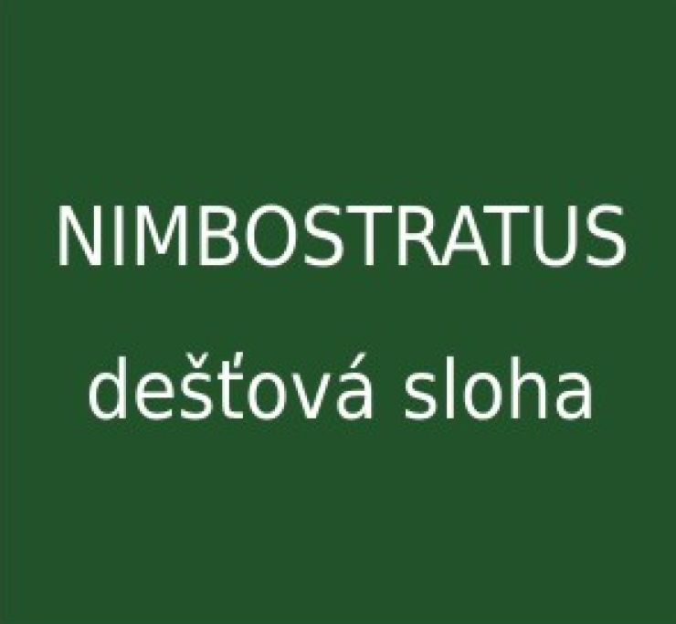 zobrazit detail snímku: Nimbostratus