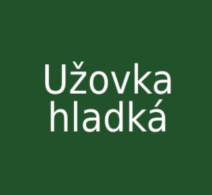 zobrazit detail snímku: Užovka hladká