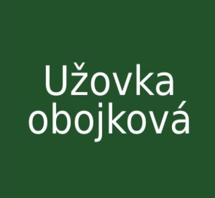 zobrazit detail snímku: Užovka obojková