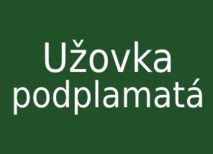 zobrazit detail snímku: Užovka podplamatá