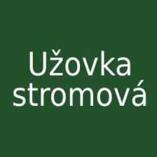 Užovka stromová
