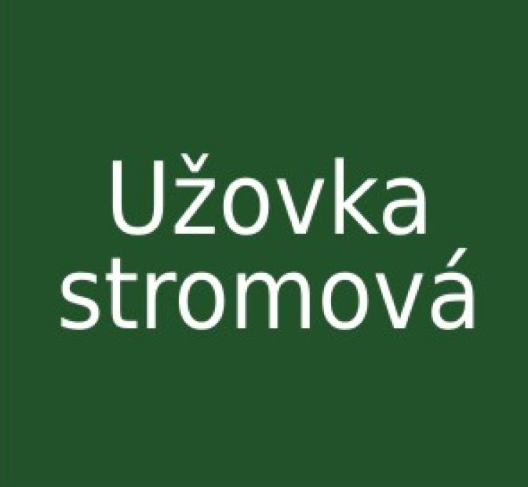 zobrazit detail snímku: Užovka stromová