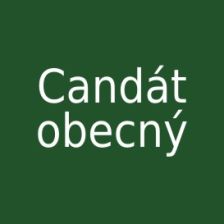 Candát obecný