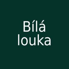 Sněžka z Bílé louky