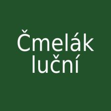 Čmelák luční