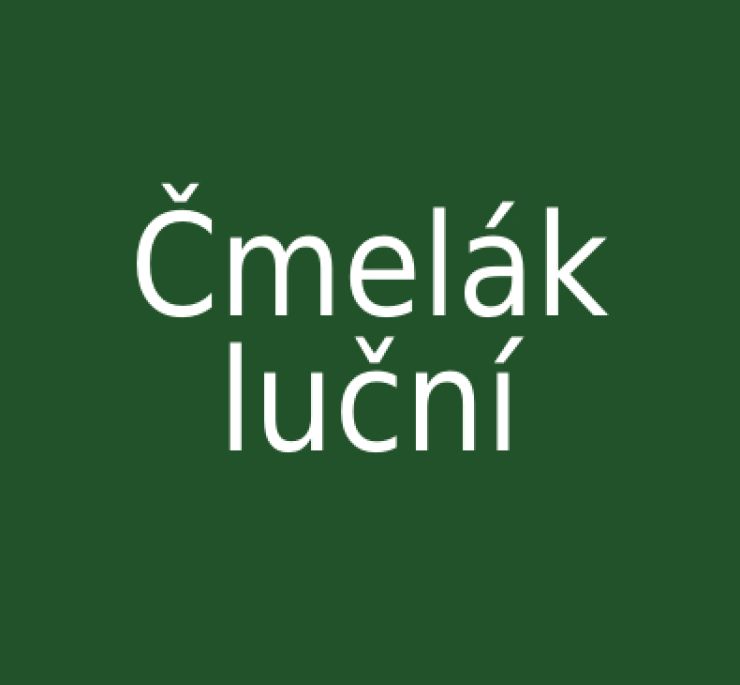 zobrazit detail snímku: Čmelák luční