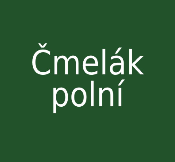 zobrazit detail snímku: Čmelák polní