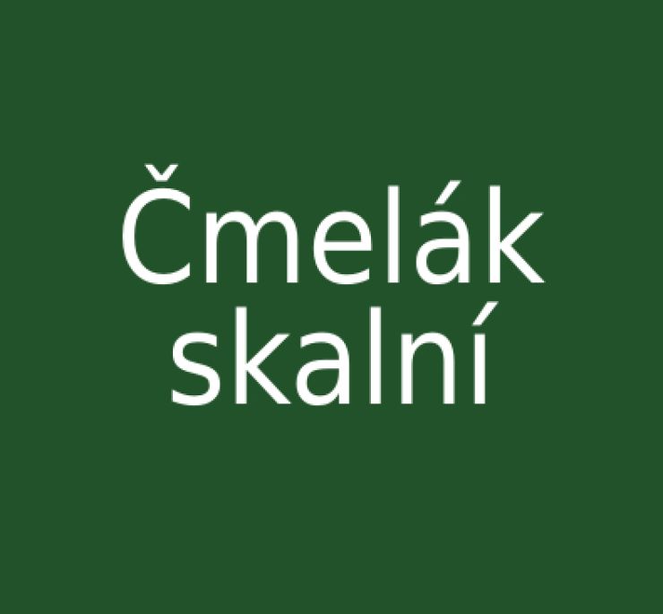 zobrazit detail snímku: Čmelák skalní