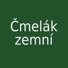 Čmelák zemní
