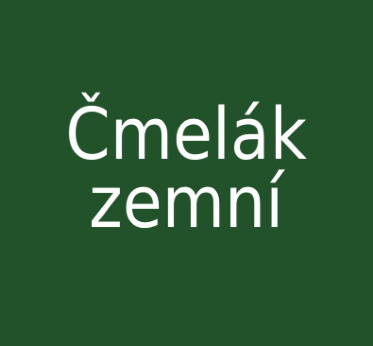 zobrazit detail snímku: Čmelák zemní
