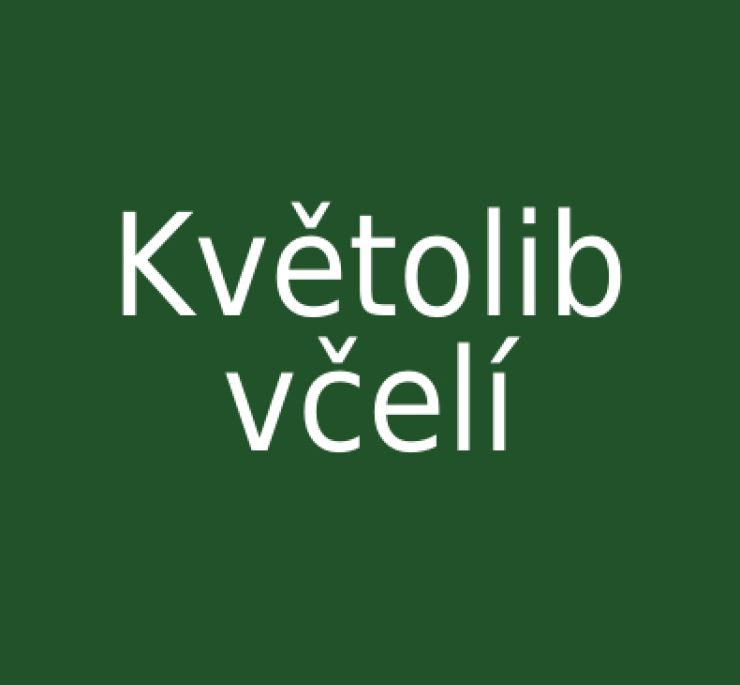 zobrazit detail snímku: Květolib včelí