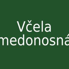 Včela medonosná