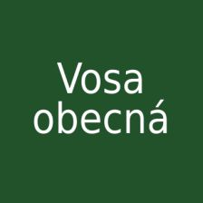 Vosa obecná