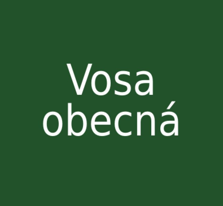 zobrazit detail snímku: Vosa obecná