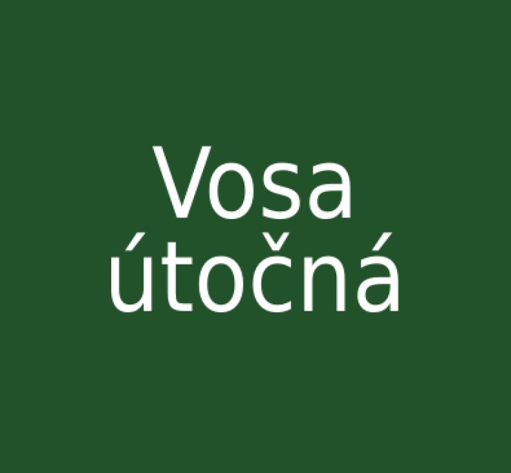zobrazit detail snímku: Vosa útočná