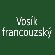 Vosík francouzský
