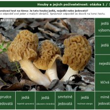 Poznávačka: Houby a jejich poživatelnost