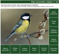 Nová poznávačka: ptáci na krmítku: Dokážete rozeznat ptáky, kteří nyní často…