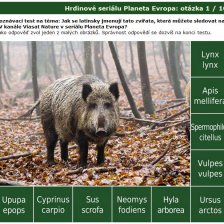 Poznávačka Hrdinové seriálu Planeta Evropa