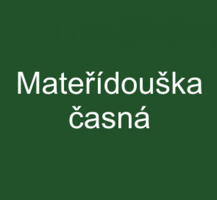zobrazit detail snímku: Mateřídouška časná
