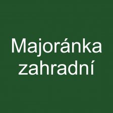Majoránka zahradní