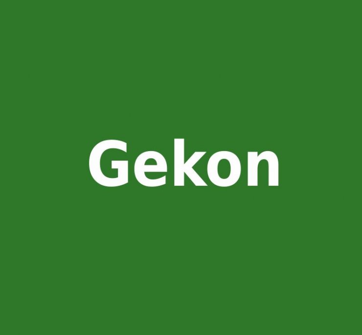 zobrazit detail snímku: Gekon
