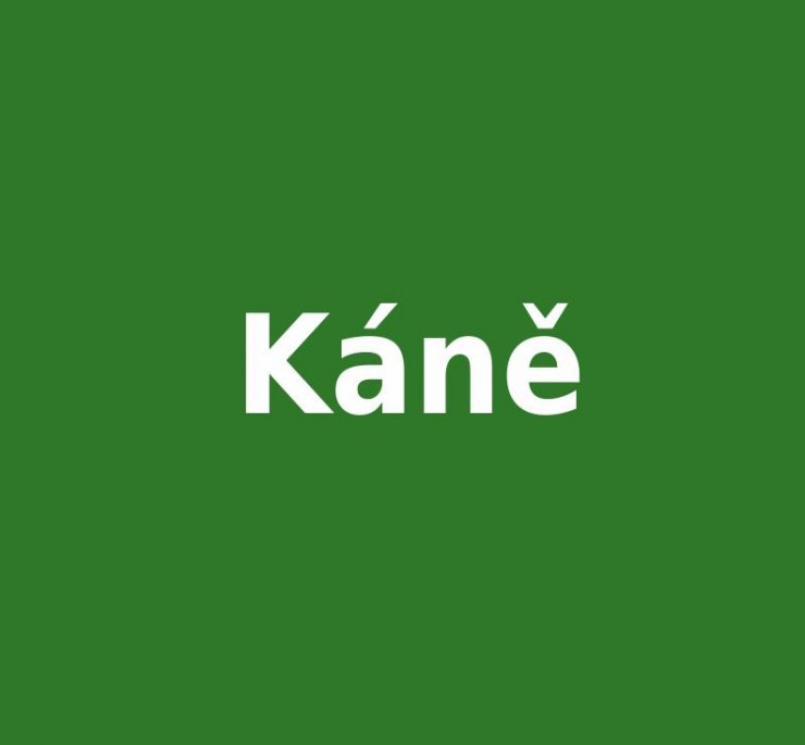 zobrazit detail snímku: Káně Harrisovo