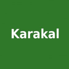 Karakal