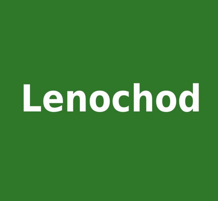 zobrazit detail snímku: Lenochod tříprstý