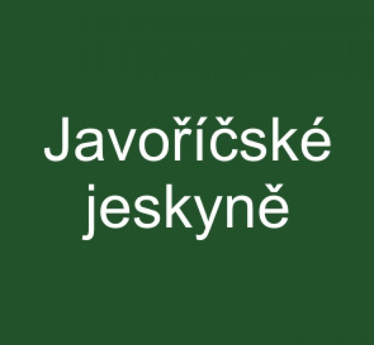 zobrazit detail snímku: Javoříčské jeskyně