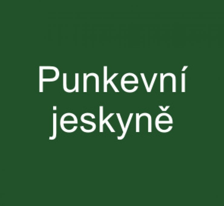 zobrazit detail snímku: Punkevní jeskyně