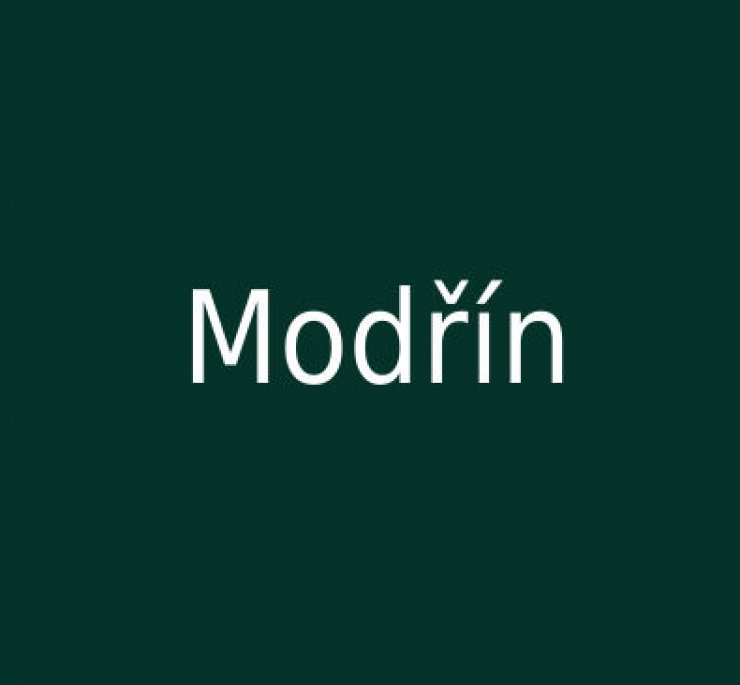 zobrazit detail snímku: Modřín