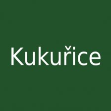 Kukuřice