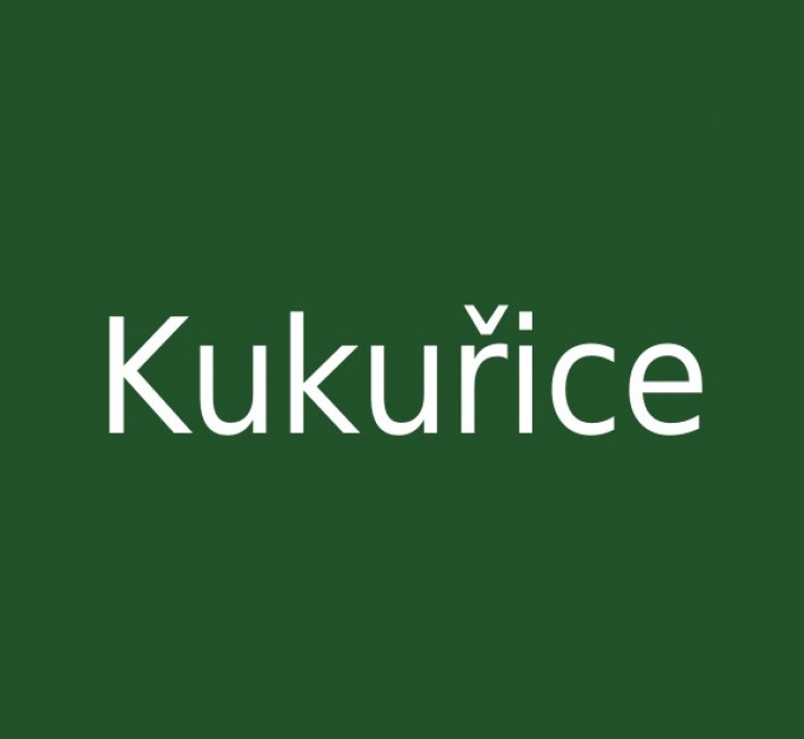 zobrazit detail snímku: Kukuřice
