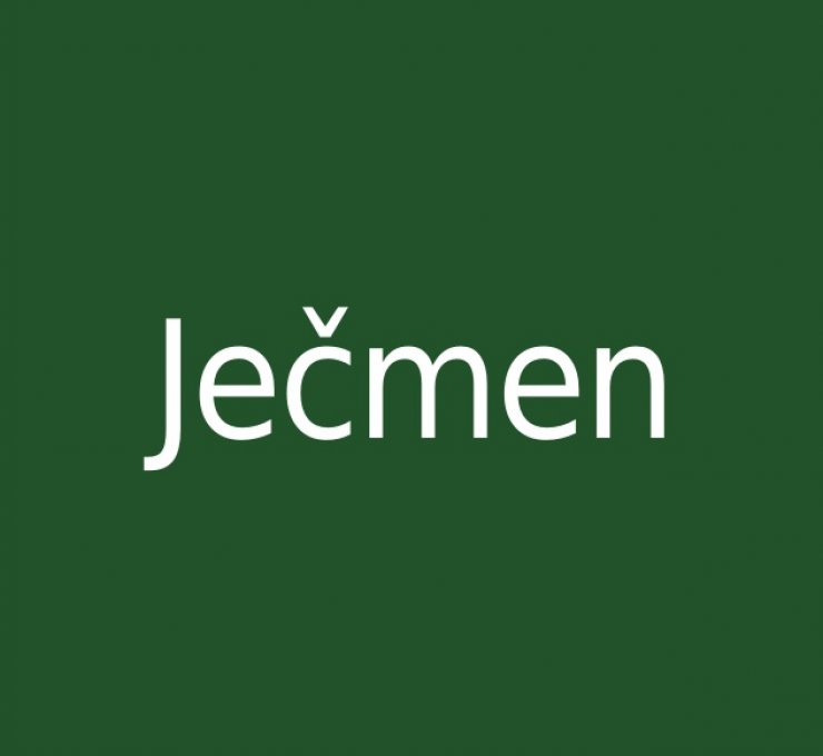 zobrazit detail snímku: Ječmen
