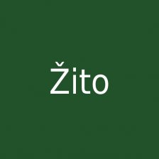 Žito