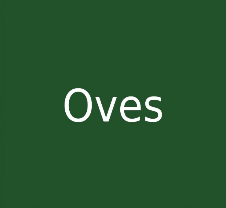 zobrazit detail snímku: Oves