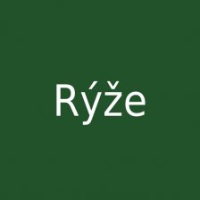 Rýže
