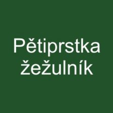 Pětiprstka žežulník