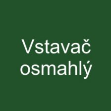 Vstavač osmahlý