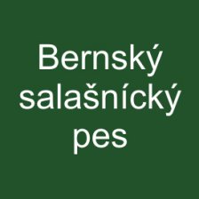 Bernský salašnický pes