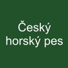 Český horský pes