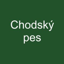 Chodský pes