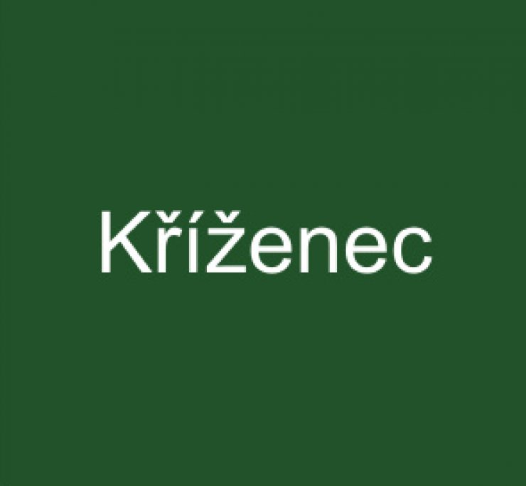 zobrazit detail snímku: kříženec