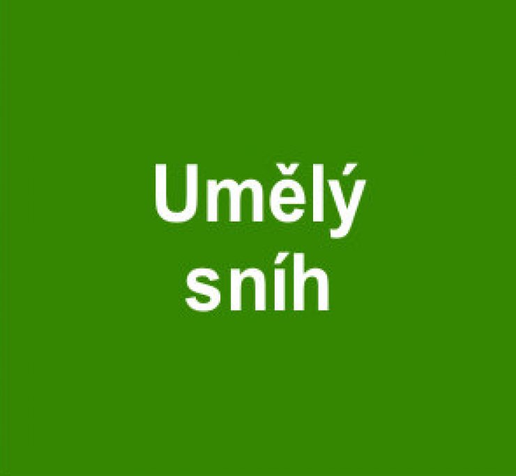 zobrazit detail snímku: Umělý sníh 